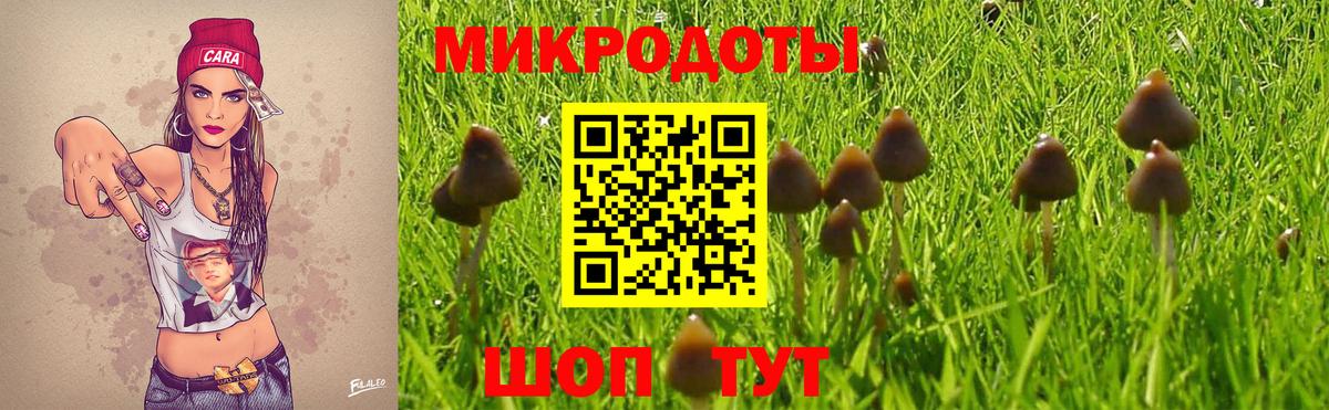 Псилоцибиновые грибы Cubensis  Псилоцибиновые грибы Magic Shrooms  Вход с VPN  Узловая 